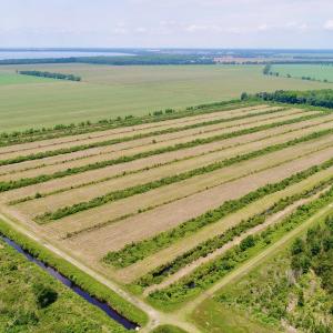 DJI_0088