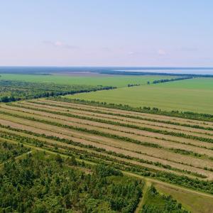 DJI_0093