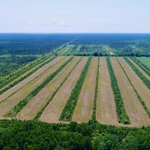 DJI_0095
