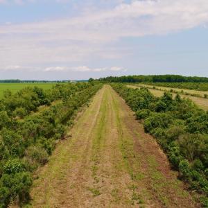DJI_0097