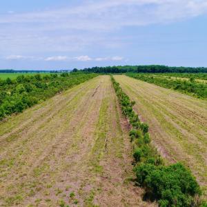 DJI_0098