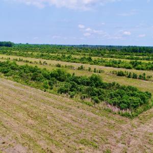 DJI_0099