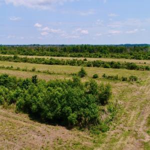 DJI_0102