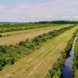 DJI_0103