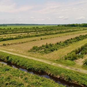 DJI_0104