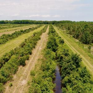 DJI_0109