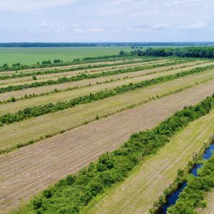 DJI_0110