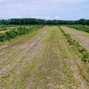 DJI_0115