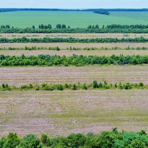 DJI_0117