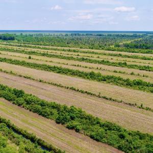 DJI_0122