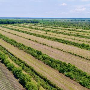 DJI_0123