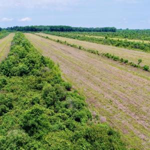 DJI_0124
