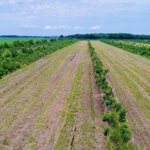 DJI_0126
