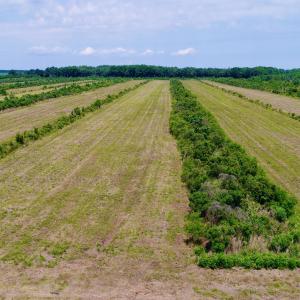 DJI_0130