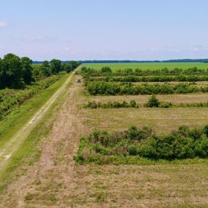 DJI_0134