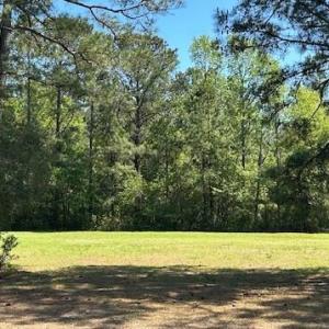 Skold - 597 Lindgrove - front