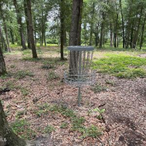 Disc Golf