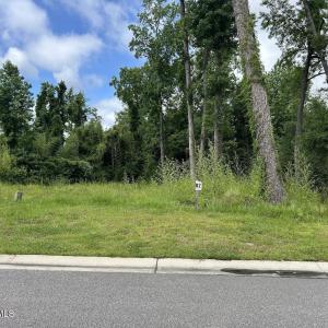 Roadfront view of property