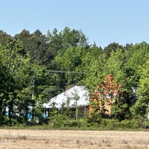 Sawyertown Land View of Taylors Do It