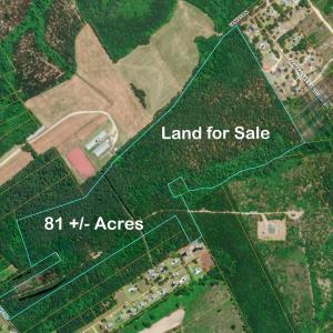 Big Piney Grove Rd Acres7