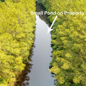 Big Piney Grove Rd Acres4