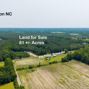 Big Piney Grove Rd Acres3