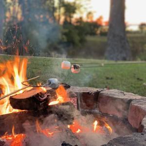 Amenities (24)