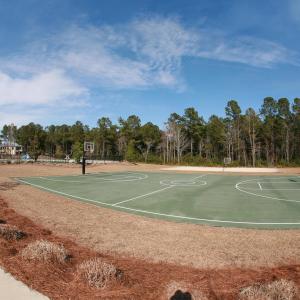 basketball and volleyball