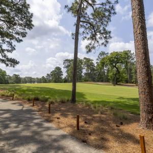 golf course view1