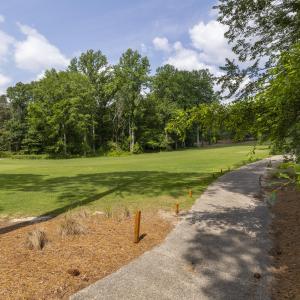 golf course view2