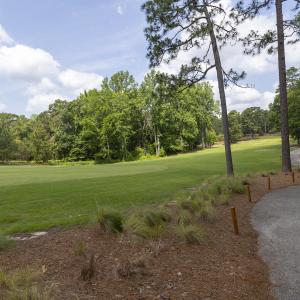 golf course view3