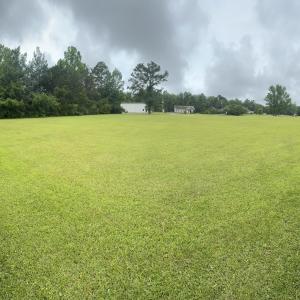 Back, left corner of lot