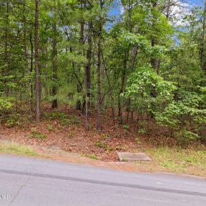6-web-or-mls-DJI_20240528144700_0440_D
