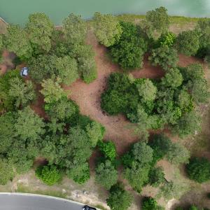 DJI_20250514115129_0299_D
