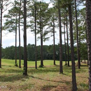 Golf Homesite