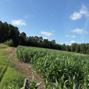 IMG_1898