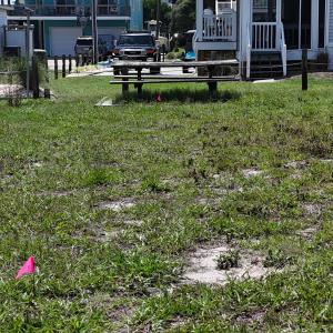 dji_fly_20250607_141504_0032_17493207342