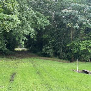 Carey Road 2