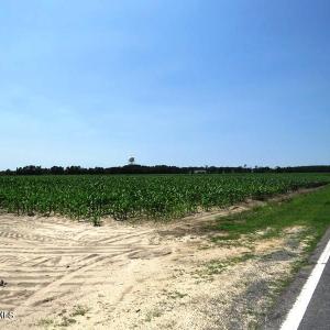 IMG_8184