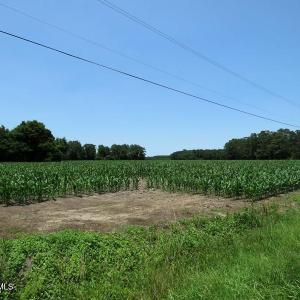 IMG_8171