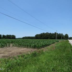 IMG_8172