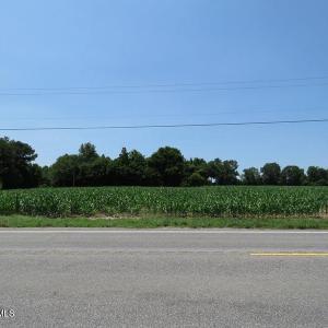 IMG_8175