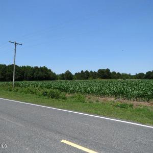 IMG_8181