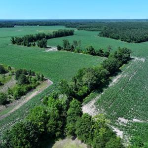 DJI_20250604162943_0546_D