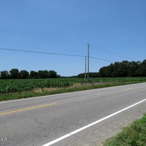 IMG_8174
