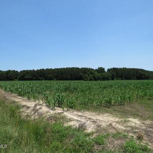 IMG_8165
