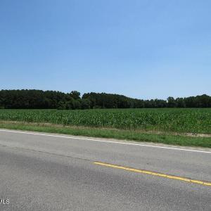 IMG_8166