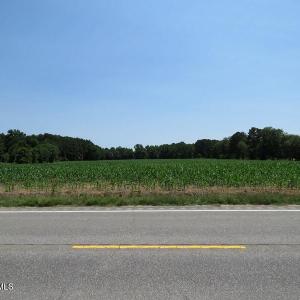 IMG_8167