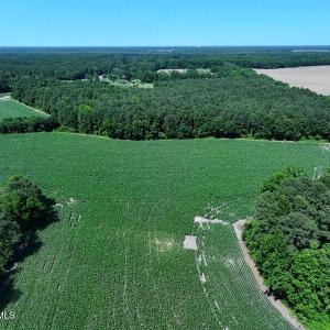 DJI_20250604162826_0542_D