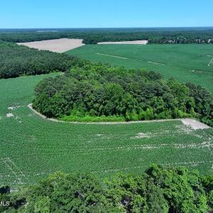 DJI_20250604162810_0540_D